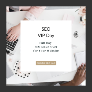 SEO VIP day service graphic